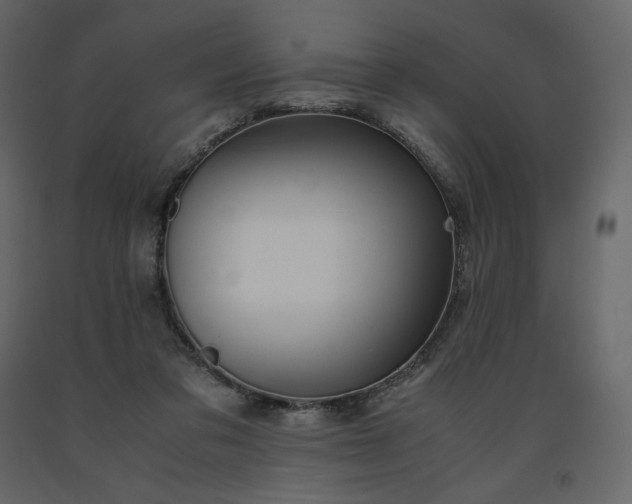 X0000091550309200708241801