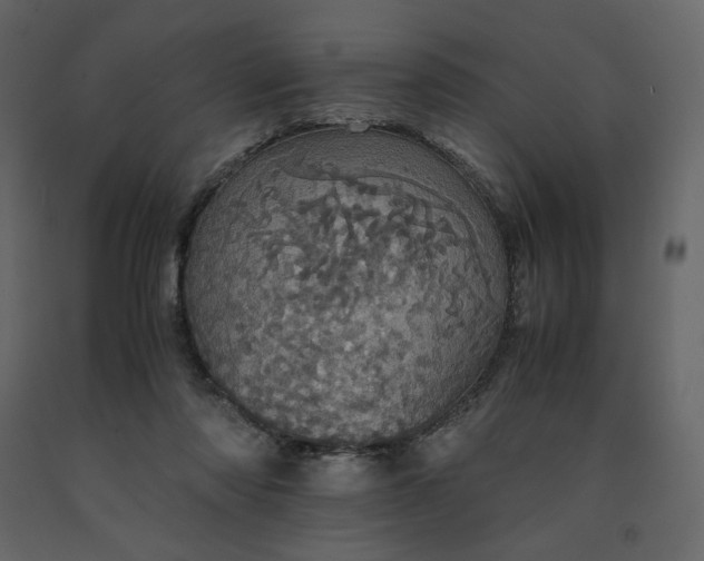X0000091550310200708241801