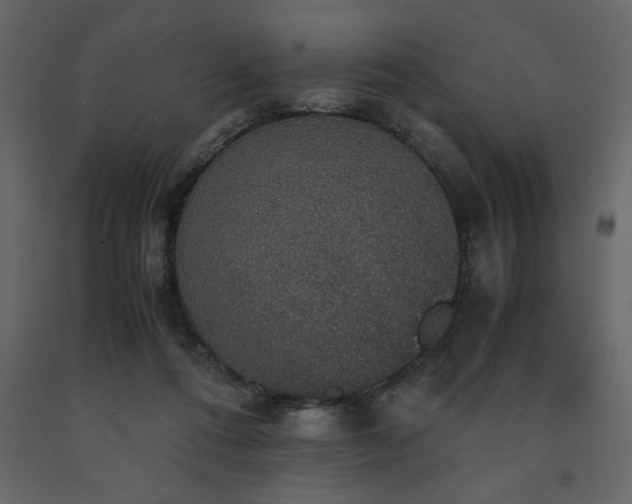 X0000091550312200708241801