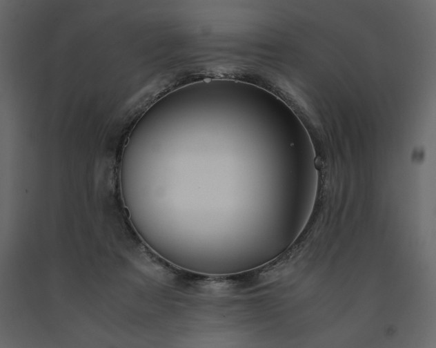X0000091550313200708241801