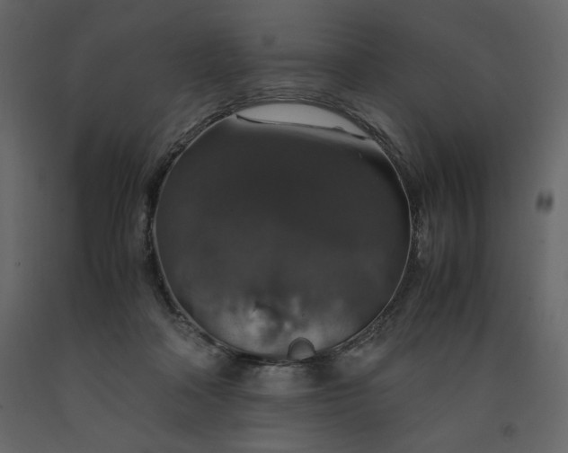 X0000091550314200708241801