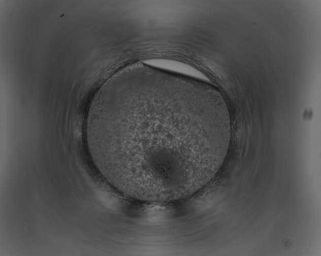 X0000091550315200708241801