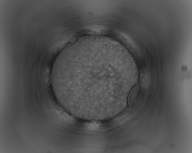 X0000091550318200708241801