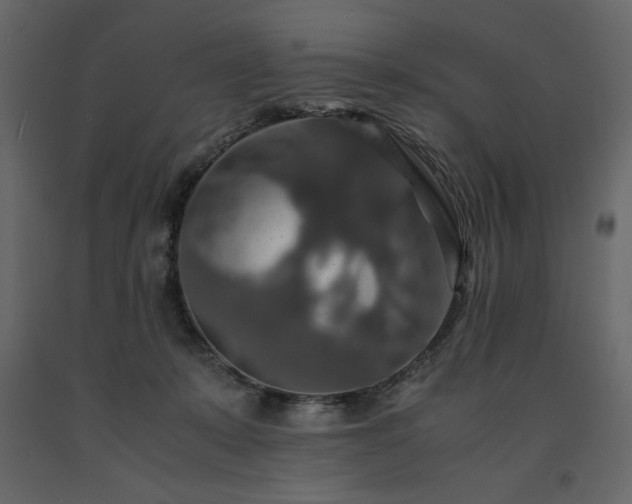 X0000091550319200708241801