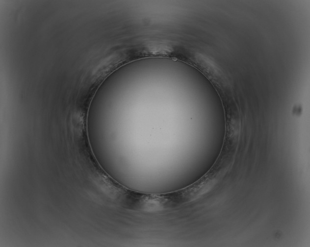 X0000091550321200708241801