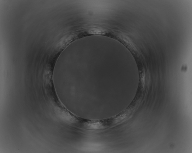 X0000091550322200708241801