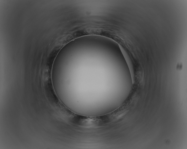 X0000091550323200708241800