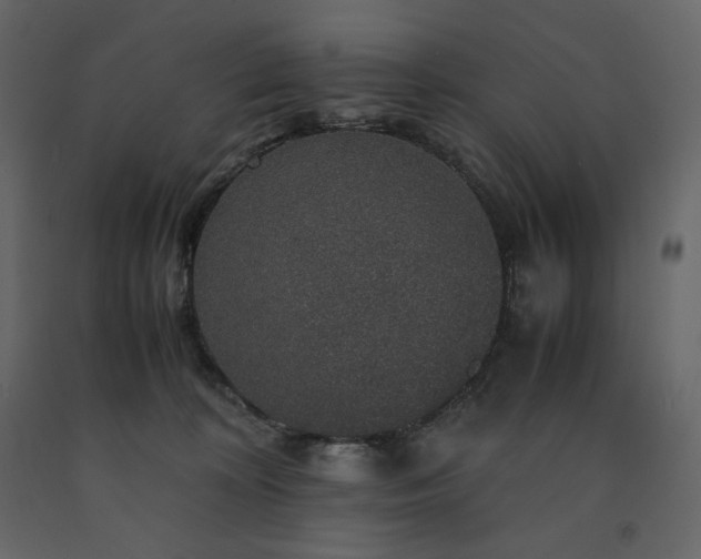 X0000091550324200708241800