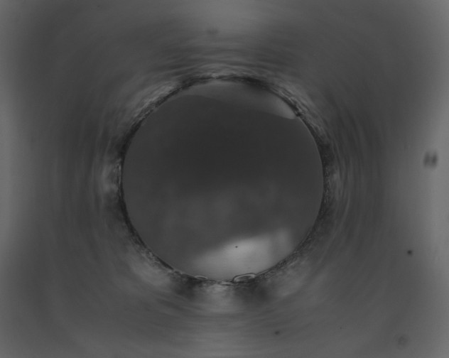 X0000091550325200708241800