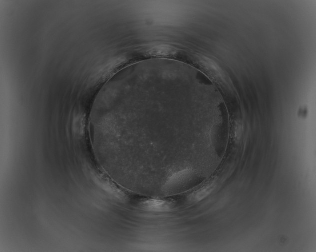X0000091550326200708241800