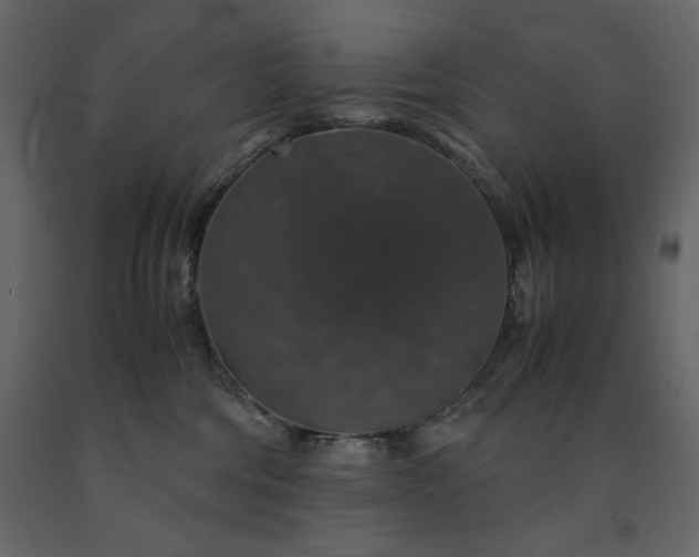 X0000091550330200708241800