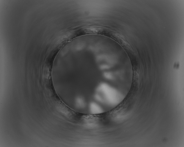 X0000091550331200708241800