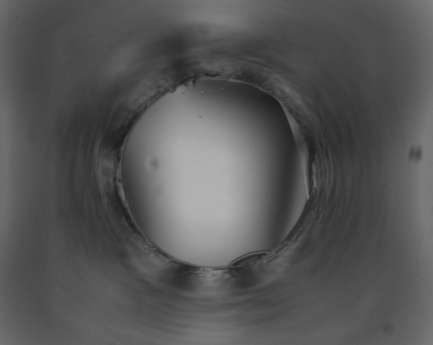 X0000091550333200708241800