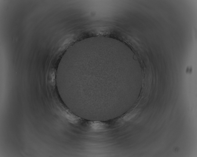 X0000091550336200708241800