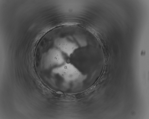 X0000091550337200708241800