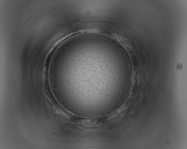X0000091550338200708241800