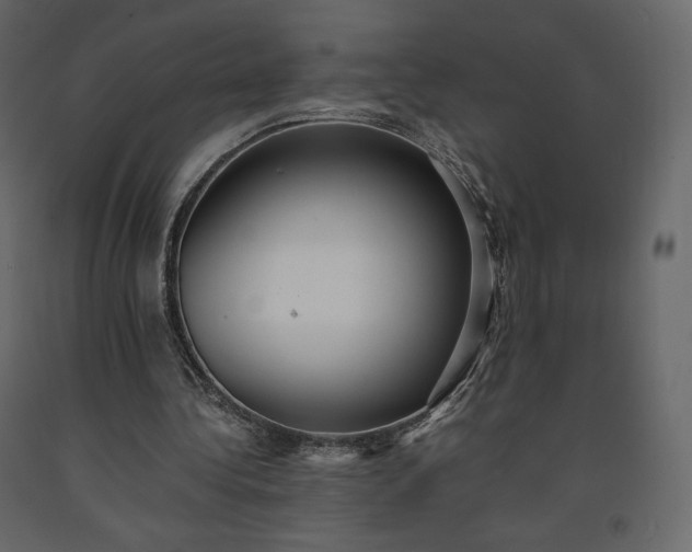 X0000091550340200708241800