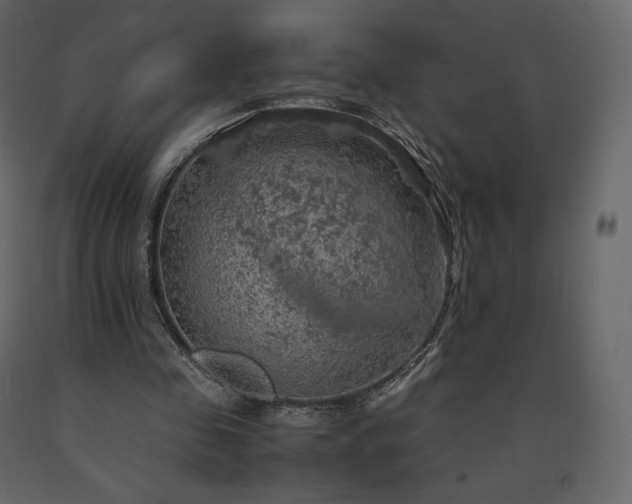 X0000091550341200708241800