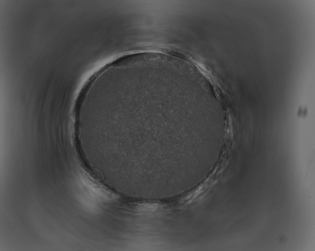 X0000091550342200708241800