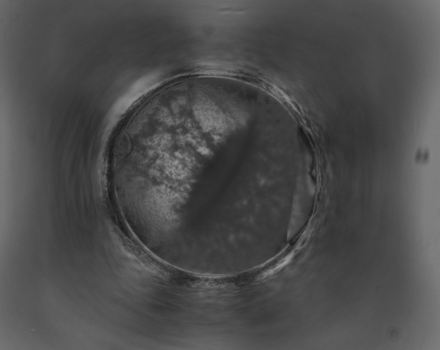 X0000091550343200708241800