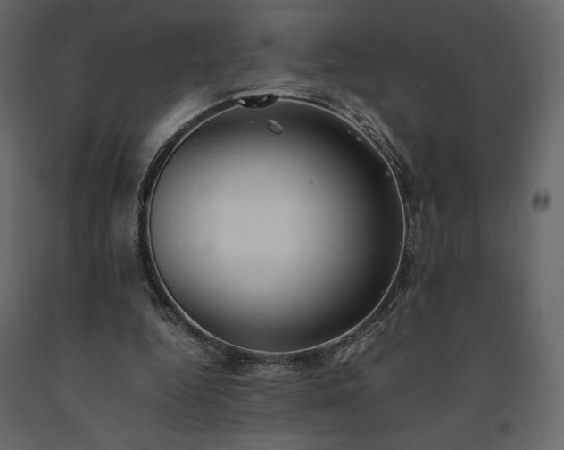 X0000091550344200708241800