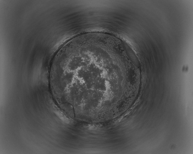 X0000091550345200708241800