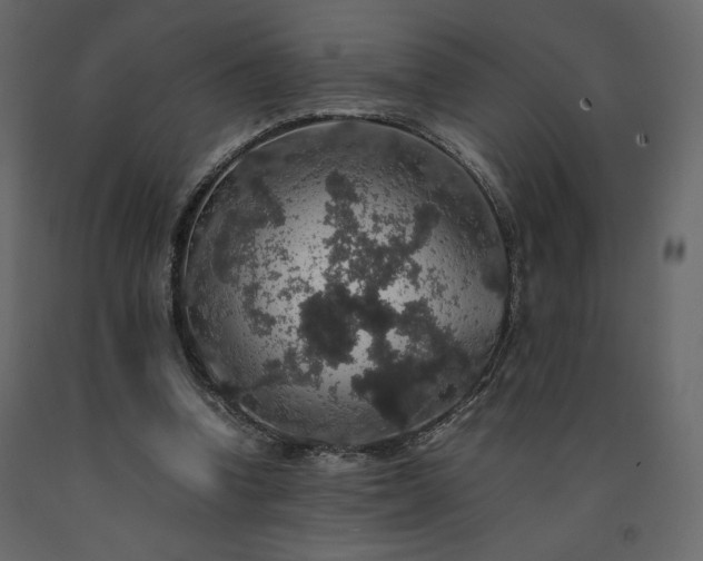 X0000091550346200708241800