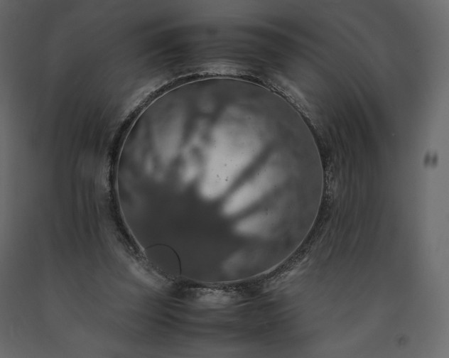 X0000091550347200708241800