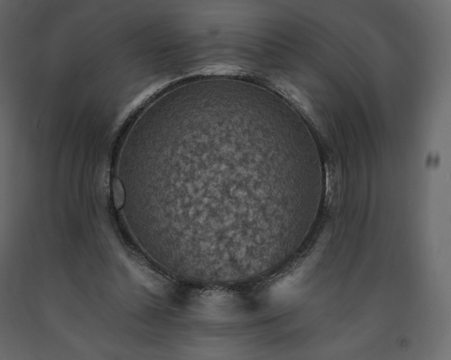X0000091550348200708241800