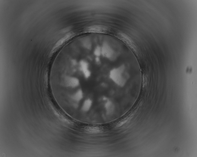X0000091550349200708241800