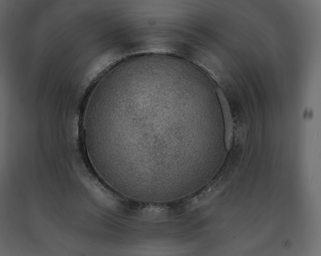 X0000091550350200708241800