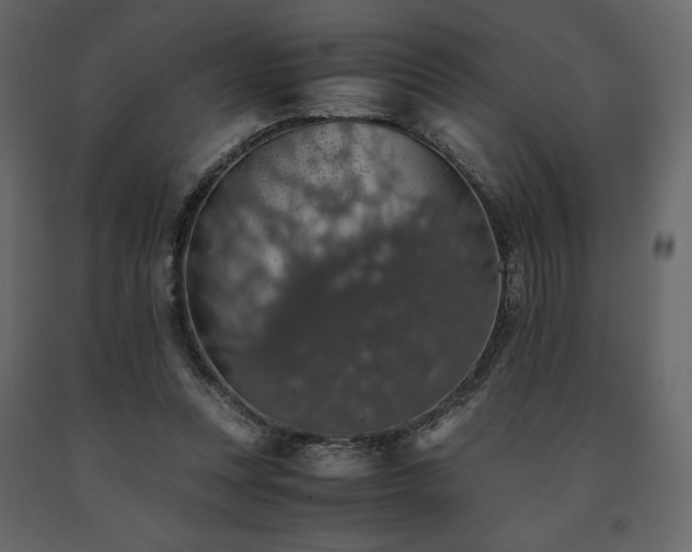 X0000091550351200708241800