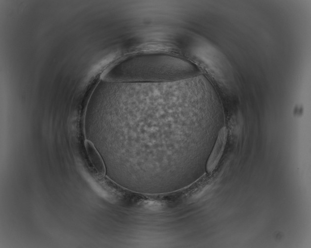 X0000091550352200708241800