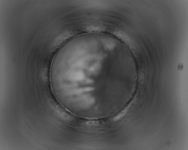 X0000091550353200708241800
