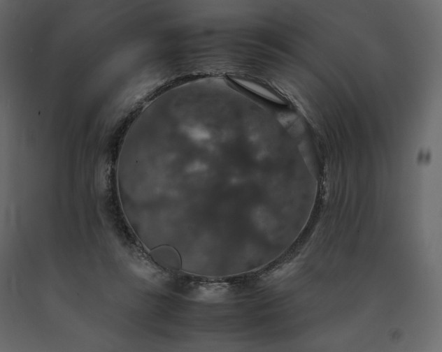 X0000091550355200708241800