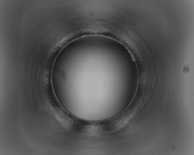 X0000091550356200708241800