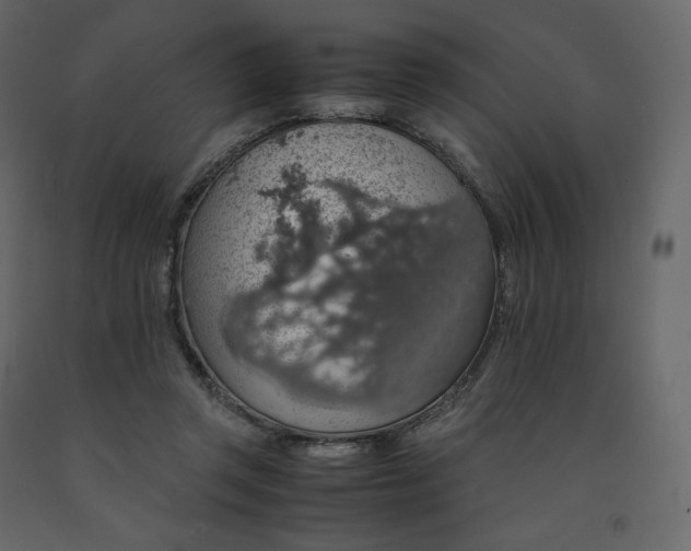 X0000091550357200708241800