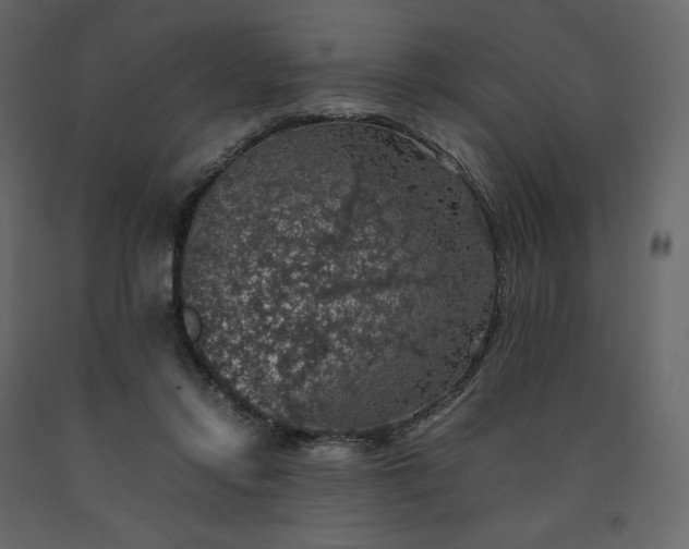 X0000091550358200708241800