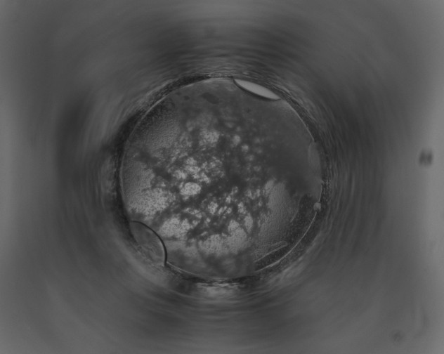 X0000091550359200708241800