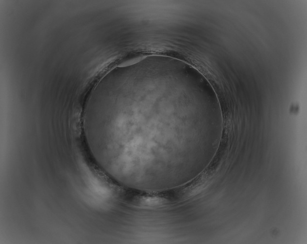 X0000091550360200708241800