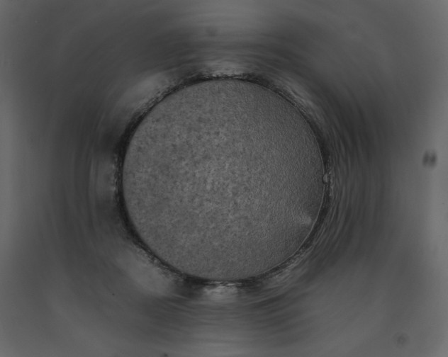 X0000091550362200708241800