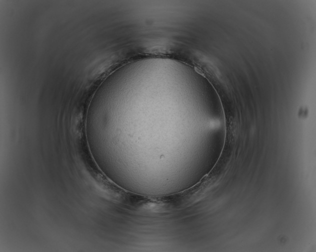 X0000091550364200708241800