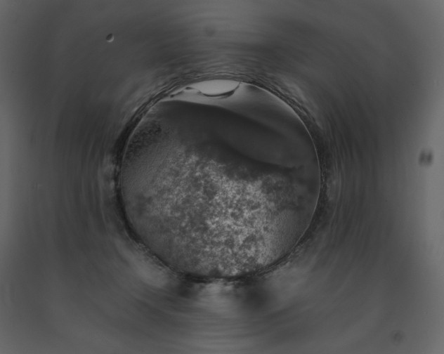 X0000091550366200708241800