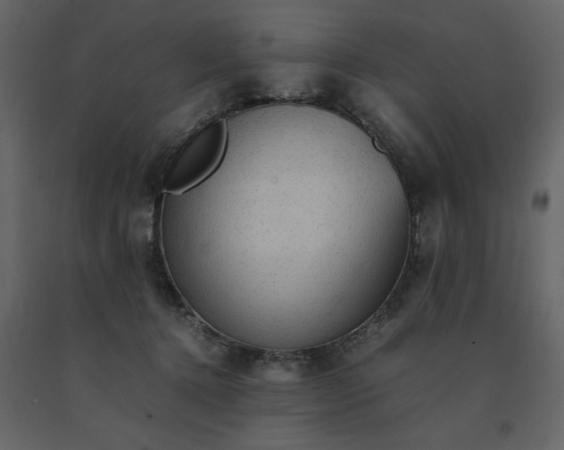 X0000091550368200708241800
