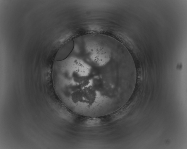 X0000091550369200708241800