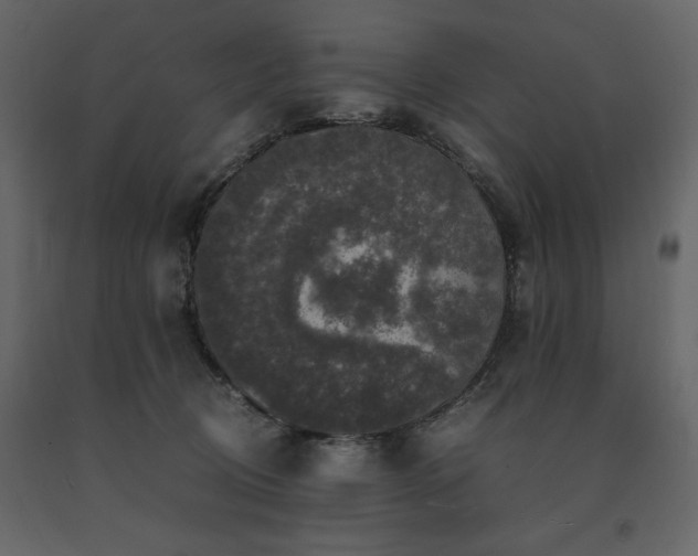 X0000091550370200708241800