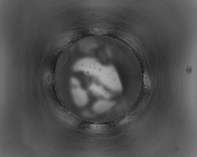 X0000091550371200708241800