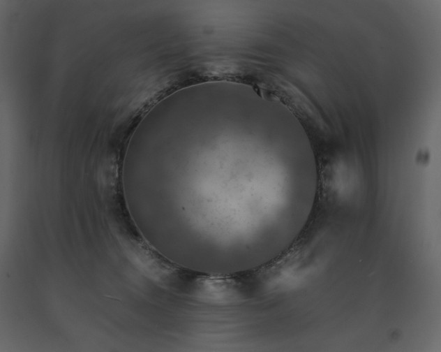 X0000091550372200708241800