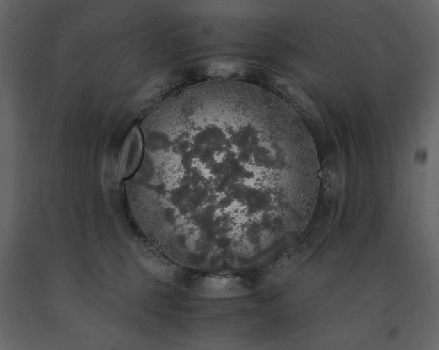 X0000091550375200708241800
