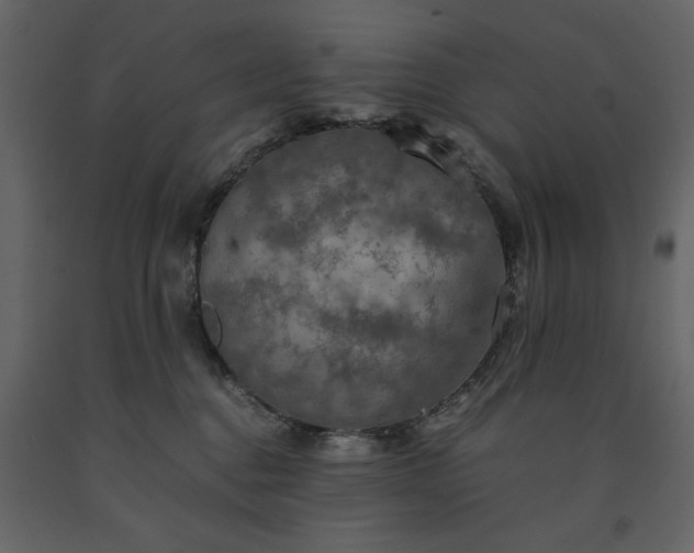 X0000091550376200708241800
